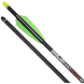 TenPoint Pro Elite 400 20" Carbon Arrows (6-Pack)